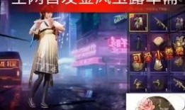 军需最新爆料视频在线观看,视频内容深度解析