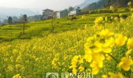 超级驾驶最新爆料视频,最新爆料视频深度解析