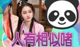 娱乐大瓜爆料假婚,假婚风波背后的真相大揭秘