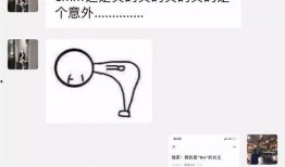 吃瓜网红事件兄妹,揭秘网络红人的家庭生活与争议风波