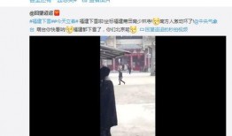 莆田最新爆料视频,事件真相与背后故事