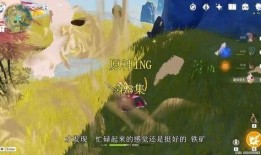 外网原神大佬爆料视频,游戏内幕大公开！