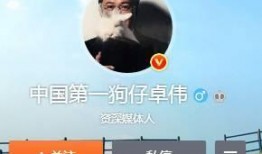 狗仔实锤爆料视频大全集,揭秘娱乐圈不为人知的真相大全集