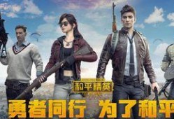 和平精英爆料视频作者