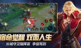 王者荣耀泼妇爆料视频下载,揭秘游戏内幕与幕后故事