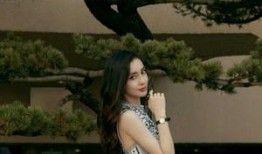 杨颖所有爆料视频合集,揭秘明星幕后生活点滴