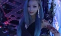 原神迪西娅爆料视频大全,揭秘原神背后的故事与精彩瞬间