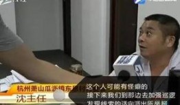 陈先生爆料完整视频在线观看,揭秘事件真相，带你一探究竟