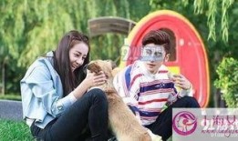 傲娇与偏见在线可观看,在线观看，浪漫喜剧甜蜜来袭