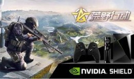 荒野行动最新爆料殿堂攻略,解锁最强战力，迈向巅峰之路