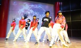 爆料雏形舞蹈视频大全,雏形舞蹈视频大全精彩集锦