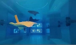 海洋最新爆料消息