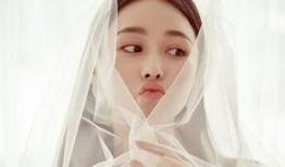 店家爆料张馨予视频大全,店家爆料背后的真相揭秘