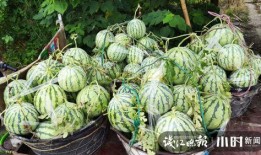 湖州吃瓜事件网红是谁,揭秘网红背后的真相