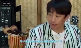 黄磊爆料学生视频大全,揭秘校园日常点滴