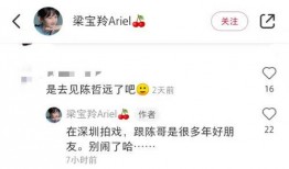 评论区娱乐爆料怎么回复,揭秘明星幕后趣闻，笑料连连！