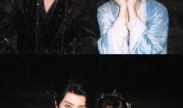 娱乐圈八卦爆料最新白鹿视频,娱乐圈神秘事件再掀波澜