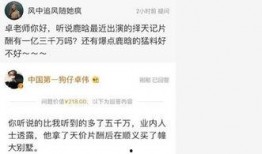 卓伟爆料头条视频下载最新,揭秘娱乐圈幕后真相