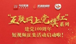 如何拿爆料奖金呢视频,一键解锁举报奖励新途径