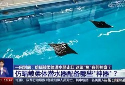 海洋最新爆料消息