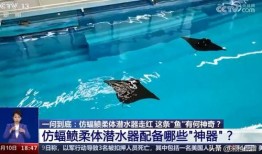 海洋最新爆料消息