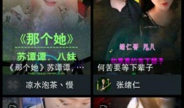 圈内爆料抖音怎么做的视频,圈内爆料背后的技术奥秘