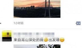 晨曦被爆料视频在哪里看,观看途径全解析