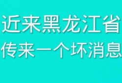 最新黑龙江爆料消息,揭秘神秘事件背后的真相