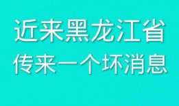 最新黑龙江爆料消息,揭秘神秘事件背后的真相