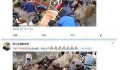 爆料欧亚超市事件真相视频