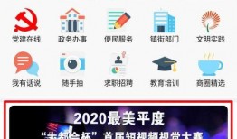 如何拿爆料奖金呢视频,一键解锁举报奖励新途径