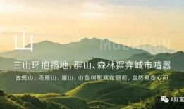 胡湾最新爆料,揭秘娱乐圈惊天秘密