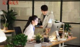 是尚先生高清在线观看,揭开时尚界的华丽面纱