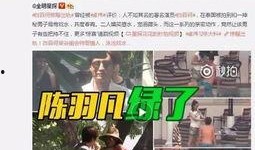 老陈最新爆料视频大全下载,视频大全下载背后的真相大起底