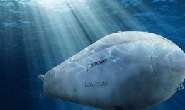 海洋最新爆料消息