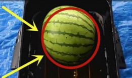 暗黑吃瓜官网入口免费观看,揭秘暗黑世界，畅享独家视听盛宴