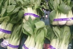 缺牙蔬菜爆料视频在线观看,缺牙蔬菜视频曝光