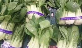 缺牙蔬菜爆料视频在线观看,缺牙蔬菜视频曝光