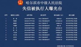 哈尔滨地铁爆料事件视频