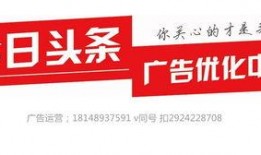 新乡今日头条爆料电话,揭秘本地新鲜事，倾听市民心声！”