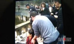 女子爆料石墩堵门案视频,真相揭露与法律维权之路